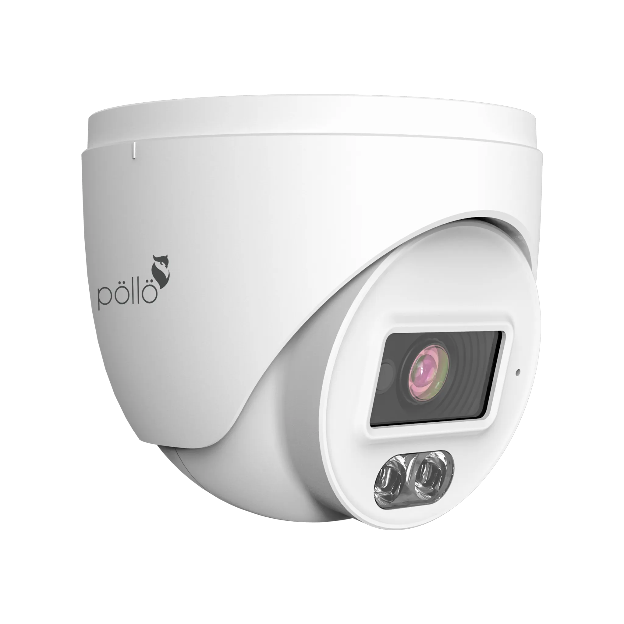 2 Megapixel Dual-Light Network Dome Camera