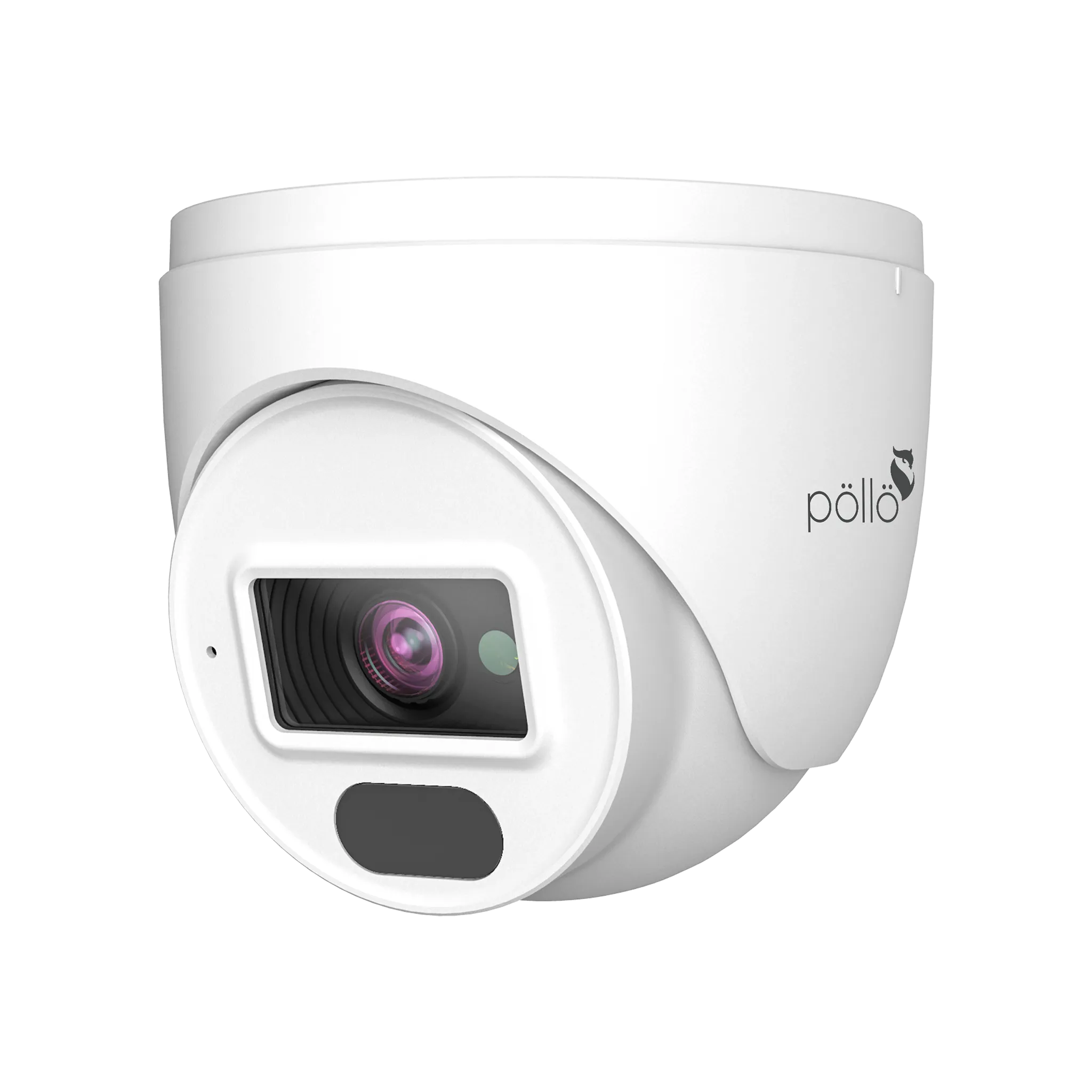 2 Megapixel Network Dome Camera