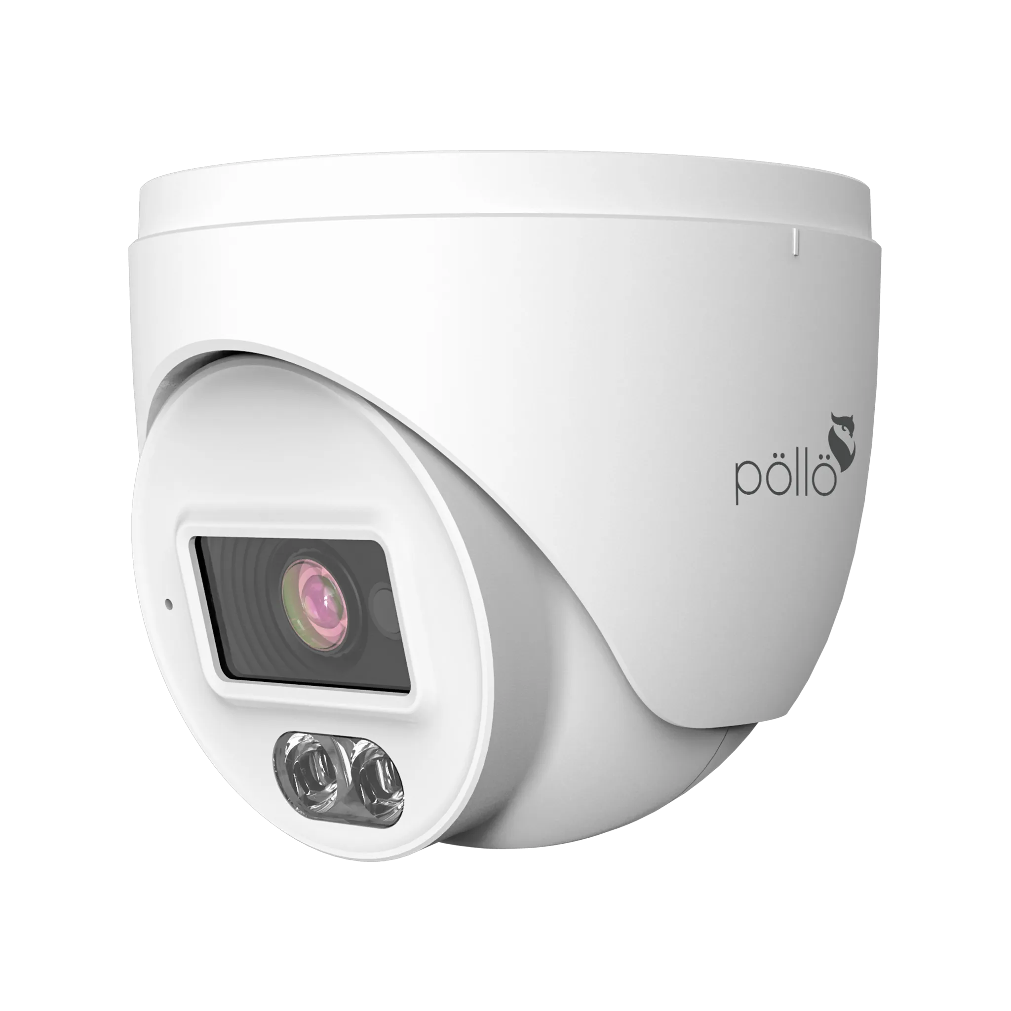 2 Megapixel Dual-Light Network Dome Camera